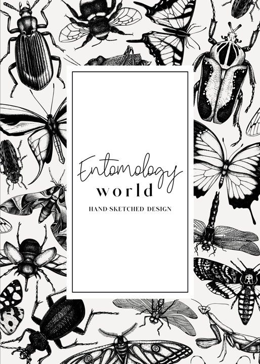 Hand-sketched insect card or invitation template. Hand drawn beetles, bugs, butterflies, dragonfly, cicada, moths, bee illustrations in vintage style. Entomological frame design with insects outlines
